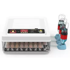 Incubator Expo MD-70 Incubator Expo MD-70