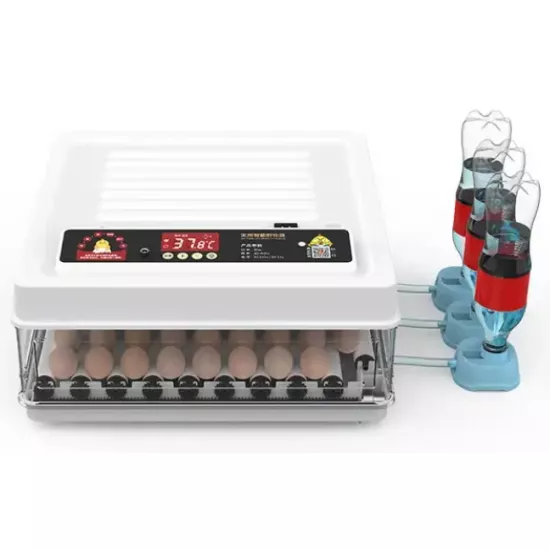 Инкубатор Expo MD-70