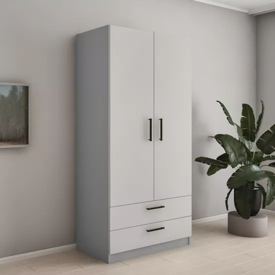 Dulap Bafimob ShY-100 (2 sert) (100 cm), Gri/Gri deschis