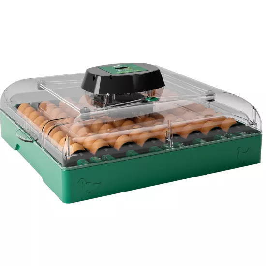 Incubator pentru ouÄ? Des Champs EU PROFI C-72