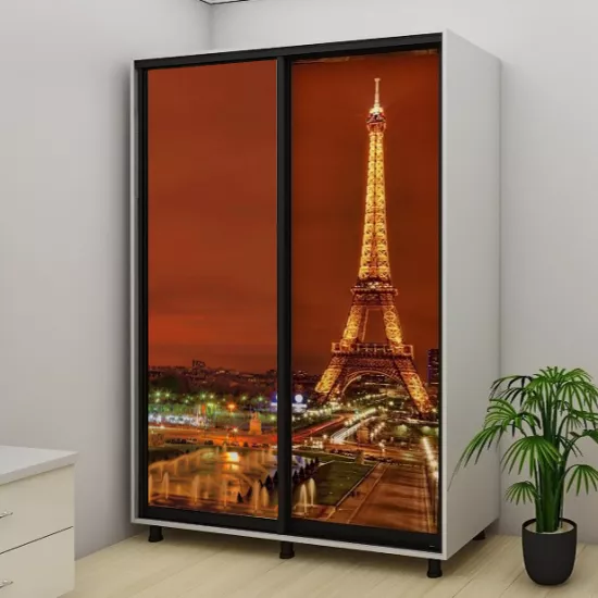 Шкаф купе Bafimob ДY-160, 160x220x60 cm, Фотопечать 2/2(дв), Светло серый