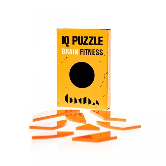 Joc de logica IQ Puzzle 0203 Circle, 8 piese