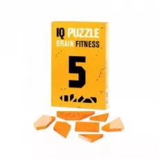 Головоломка IQ Puzzle 1491 Number 5, 7 деталей Головоломка IQ Puzzle 1491 Number 5, 7 деталей