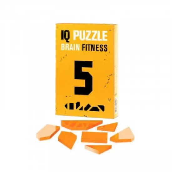 Joc de logica IQ Puzzle 1491 Number 5, 7 piese
