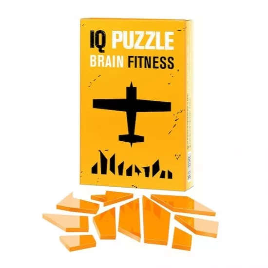 Joc de logica IQ Puzzle 0265 Plane, 10 piese