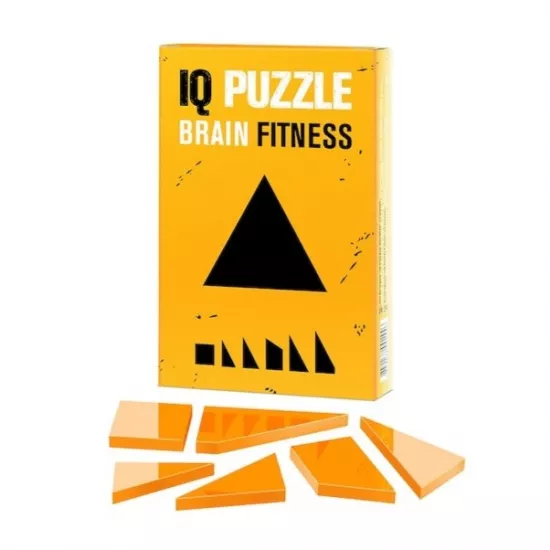 Головоломка IQ Puzzle 0289 Triangle, 6 деталей