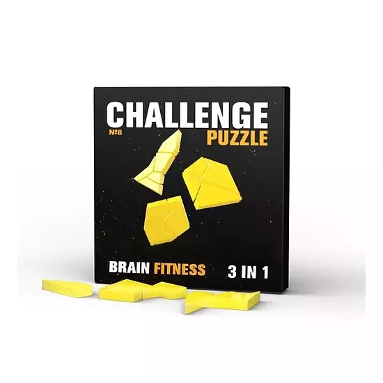 Joc de logica IQ Puzzle 0395 Challenging Puzzle N8