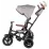 Tricicleta Qplay Rito Deluxe Grey