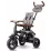 Tricicleta Qplay Rito Deluxe Grey