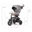 Tricicleta Qplay Rito Deluxe Grey