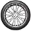 Шина летняя Bridgestone Turanza T005 195/55 R16 91V
