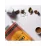 Boabe de cafea Saula Premium Bourbon, 500 g