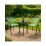 Scaun Jumi Bistro OM-318533, Green