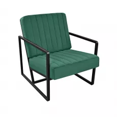 Fotoliu DP Milton, Green