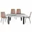 Set Yasen masa extensibila T1935 White/Gray cu 4 scaune DC-5012 L HLR 11 Gold Brown