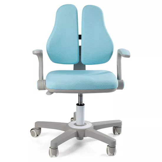 Fotoliu pentru copii Ergo Kid, Blue