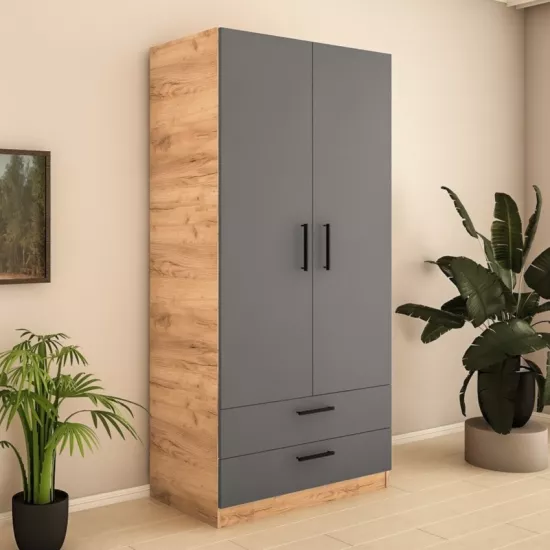 Dulap Bafimob ShZ-100 (2 sert) (100x52x200 cm), Stejar/Grafit