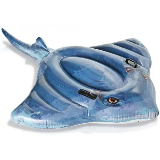 Ð?лоÑ?ик Ð´Ð»Ñ Ð¿Ð»Ð°Ð²Ð°Ð½Ð¸Ñ Intex 57550