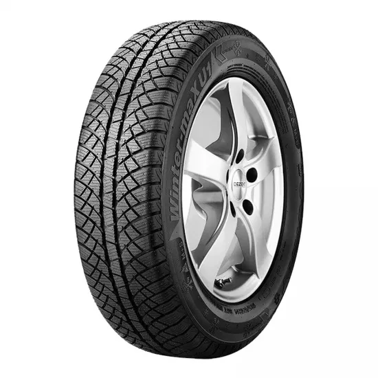 Шина зимняя Sunny NW611 195/60 R15 88T