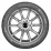 Шина зимняя Kumho WinterCraft WP52 215/65 R16 98H