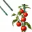 Sera pentru gradina GardenLine TUN8009 10x4x2m, 140 g/m3, Ø 25 mm, grosime 0.65 mm