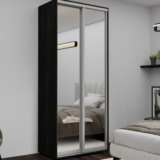 Dulap-cupeu Nex Home NX-1756, 100x220x60 cm, usi oglinda, Carbon