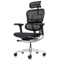 Fotoliu de birou Comfort Seating Ergohuman Elite 2, Black (Black Mesh-T-168-B1/Seat-AS9080-1 EHE2-AB-HBM-5D-L)