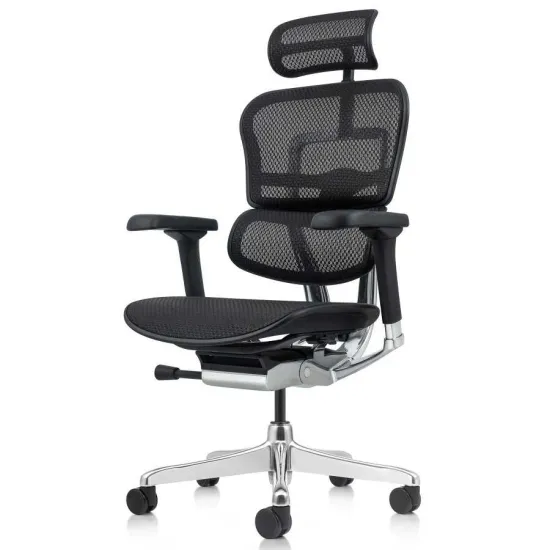 Кресло офисное Comfort Seating Ergohuman Elite 2, Чёрный (Black Mesh-T-168-B1/Seat-AS9080-1 EHE2-AB-HBM-5D-L)