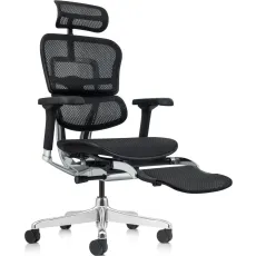 Fotoliu de birou Comfort Seating Ergohuman Elite 2 + Legrest, Black (T-168-B1 EHE2-AB-HAM-5D-L)