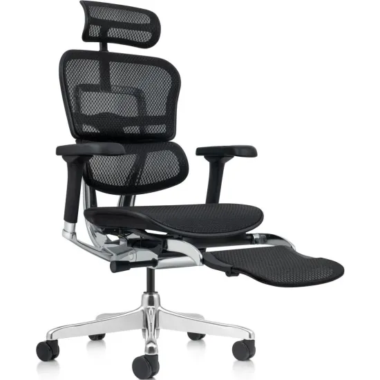 Кресло офисное Comfort Seating Ergohuman Elite 2 + Legrest, Чёрный (T-168-B1 EHE2-AB-HAM-5D-L)