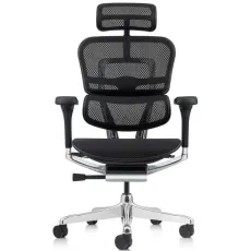 Fotoliu de birou Comfort Seating Ergohuman Elite 2, Negru (T-168-B1 EHE2-AB-HAM-5D-L)