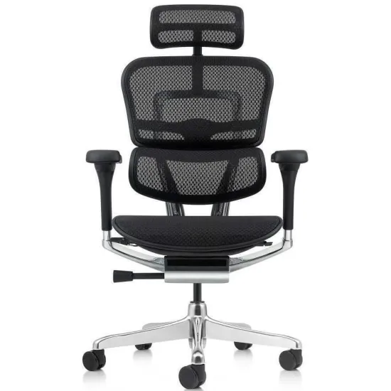 Кресло офисное Comfort Seating Ergohuman Elite 2, Черный (T-168-B1 EHE2-AB-HAM-5D-L)