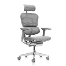 Fotoliu de birou Comfort Seating Ergohuman Elite 2, Gri (T-168-B2 EHE2-AG-HAM-5D-L)
