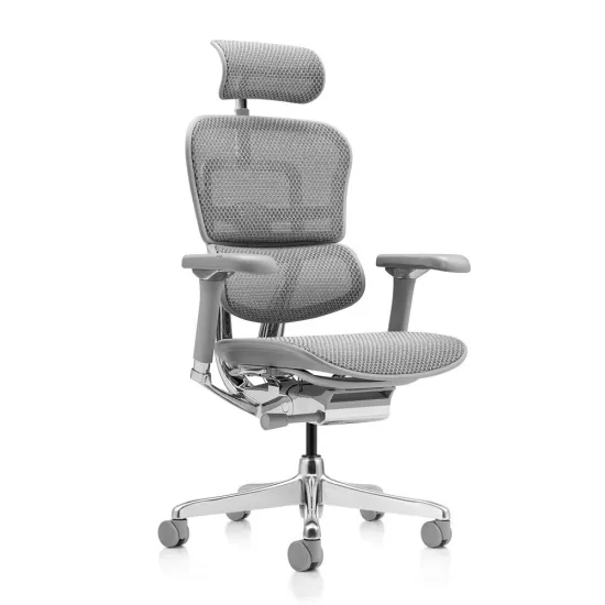 Кресло офисное Comfort Seating Ergohuman Elite 2, Серый (T-168-B2 EHE2-AG-HAM-5D-L)