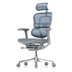 Fotoliu de birou Comfort Seating Ergohuman Elite 2, Albastru (T-168-B4 EHE2-AG-HAM-5D-L)