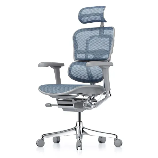 Fotoliu de birou Comfort Seating Ergohuman Elite 2, Albastru (T-168-B4 EHE2-AG-HAM-5D-L)