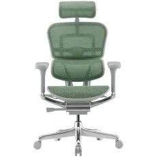 Fotoliu de birou Comfort Seating Ergohuman Elite 2, Verde (T-168-B6 EHE2-AG-HAM-5D-L)