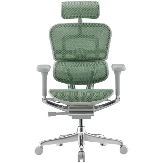 Кресло офисное Comfort Seating Ergohuman Elite 2, Зеленный (T-168-B6 EHE2-AG-HAM-5D-L)