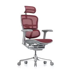 Fotoliu de birou Comfort Seating Ergohuman Elite 2, Red (T-168-B3 EHE2-AG-HAM-5D-L)