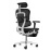 Fotoliu de birou Comfort Seating Ergohuman Luxury 2 + Legrest, Black (T-168-B1 EHL2-AB-HAM-5D-D)