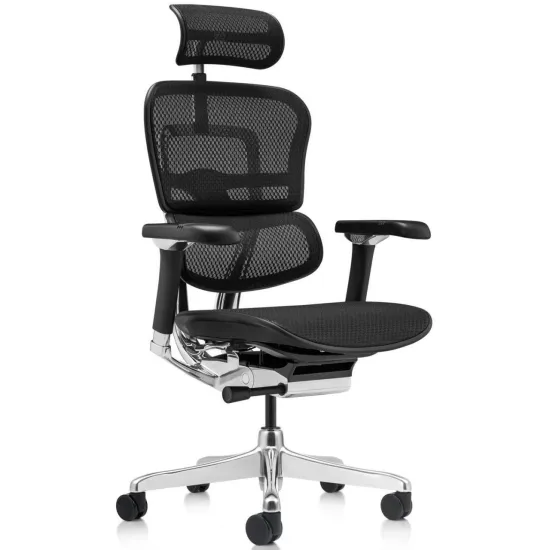 Fotoliu de birou Comfort Seating Ergohuman Luxury 2, Black (T-168-B1 EHL2-AB-HAM-5D-D)