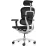 Fotoliu de birou Comfort Seating Ergohuman Luxury 2, Black (T-168-B1 EHL2-AB-HAM-5D-D)