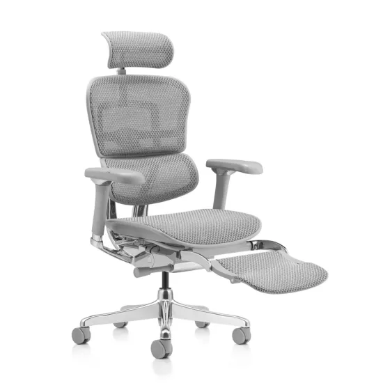 Fotoliu de birou Comfort Seating Ergohuman Luxury 2 + Legrest, Gri (T-168-B2 EHL2-AG-HAM-5D-D)