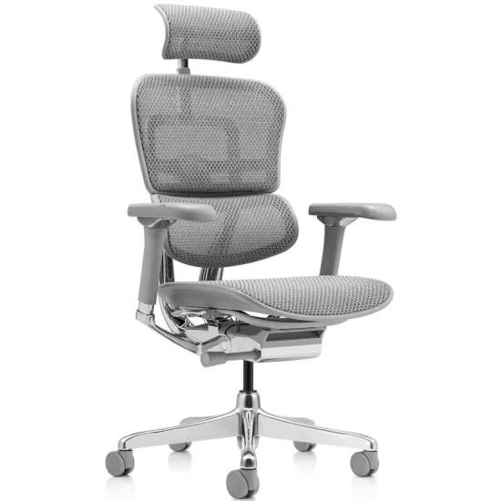 Fotoliu de birou Comfort Seating Ergohuman Luxury 2, Gri (T-168-B2 EHL2-AG-HAM-5D-D)