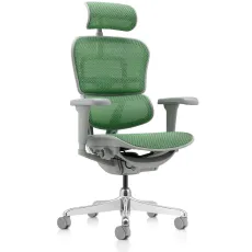 Fotoliu de birou Comfort Seating Ergohuman Ultra, Verde (T-168-B6 EHU-AG-HAM-4D)