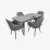 Обеденный набор Evelin DT 431-3R B + 4 YT-002B, 970-11 (Grey)