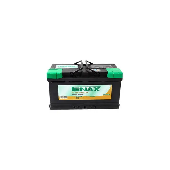 Аккумулятор 100 Ач Tenax 12V 100 Ah Tenax.Premium (прав)